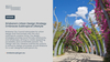 Brisbane's Urban Design Strategy Embraces Subtropical Lifestyle