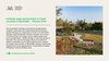 Australian Institute of Architects urges government to tread carefully in Barambin – Victoria Park