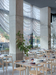Nin Hao – New York, United States