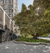 Pavilions and LIV Indigo – Sydney, Australia