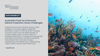Australia's Push for Enhanced Marine Protection Faces Challenges