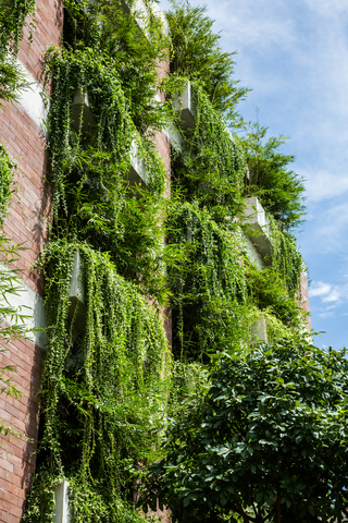 Atlas Hotel – Hội An, Vietnam