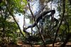 Imagination Circle – Nowon-Gu, Republic of Korea