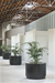 Funeral Home in Barcelona – Barcelona, Spain