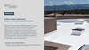 Urban Heat Solutions: Trees vs. Cool Roofs for Cities