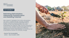 Rethinking Reforestation: Addressing Overestimation and Realising Potential