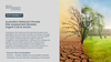 Australia's National Climate Risk Assessment Reveals Urgent Call to Action