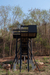 Landhopper – Khanong Phra, Thailand