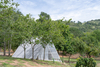 Landhopper – Khanong Phra, Thailand