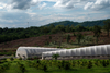Landhopper – Khanong Phra, Thailand