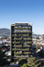 Gardenia – San Jose, Costa Rica