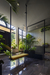Gardenia – San Jose, Costa Rica