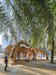 Urban Living Lab – Tai Kok Tsui, Hong Kong