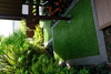 A Hidden Urban Retreat – New Plymouth, New Zealand
