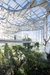 Expo Cultural Park Greenhouse Garden – Shanghai, China