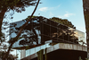 Casa Moro – Mar del Plata, Argentina