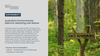 Australia's Environmental Reforms: Restoring Lost Nature