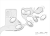 GO PARK Sai Sha – Drawing