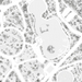 Lago|Algo – Drawing