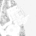 Lago|Algo – Drawing