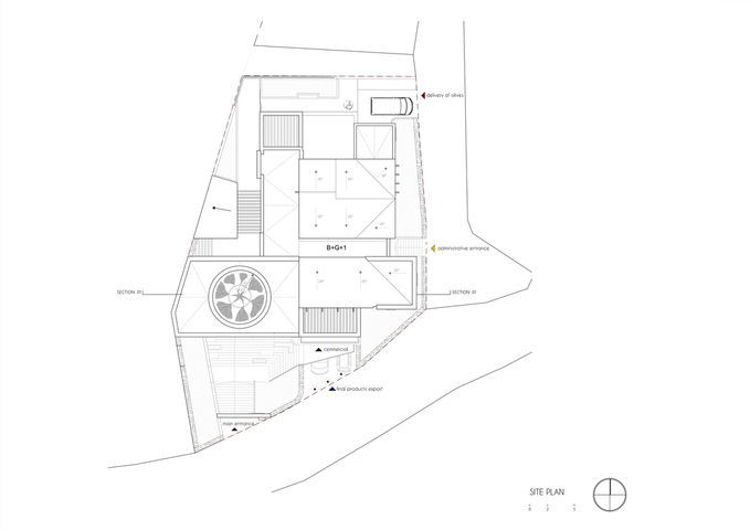 House of Olives – Drawing