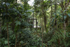 Chalet L – São Lourenço da Serra, Brazil