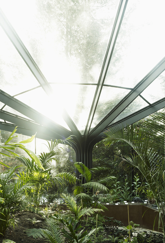 Preview of Greenhouse Botanical Garden Grueningen – Zuerich, Switzerland