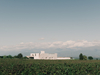 Vachnadziani Winery – Vachnadziani, Georgia