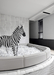 Animal Adventure lsland – Shenzhen, China