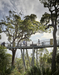 Mt Archer Treetop Boardwalk – Rockhampton, Australia