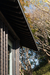 Villa Boso – Boso Peninsula, Japan