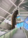 New Museum Expansion – New York, United States