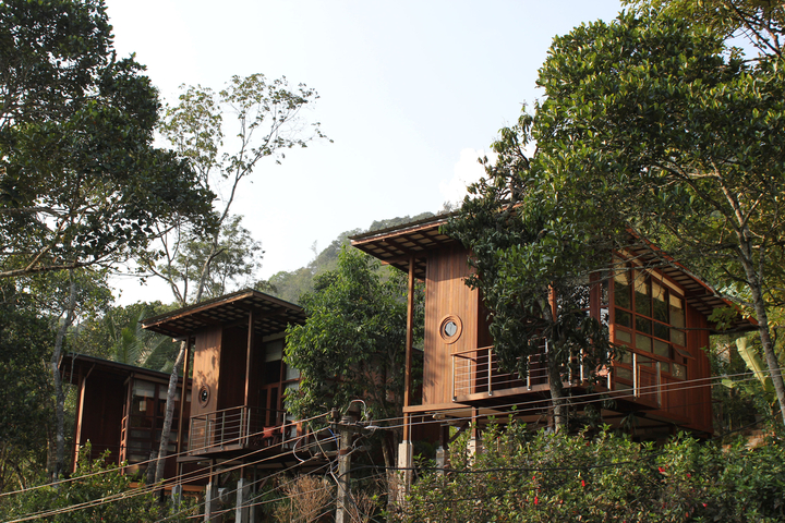 Preview of Cardamom Club – Thekkady, India