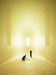 Into The Light – Bavaria, Germany