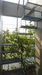 TAA Office – Ho Chi Minh City, Vietnam