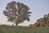 Permanent Camping 3 – Orange, Australia