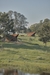 Permanent Camping 3 – Orange, Australia
