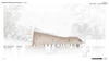 Rapunzel Visitor Centre – Drawing