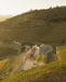 Adorigo Farm Winery – Tabuaço, Portugal