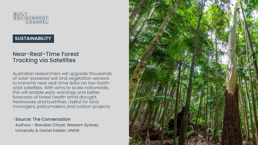Near-real-time Forest Tracking via Satellites