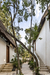 Jungle Keva – Tulum,Mexico